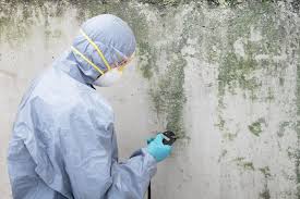 Best Residential Mold Inspection & Testing  in Benwood, WV